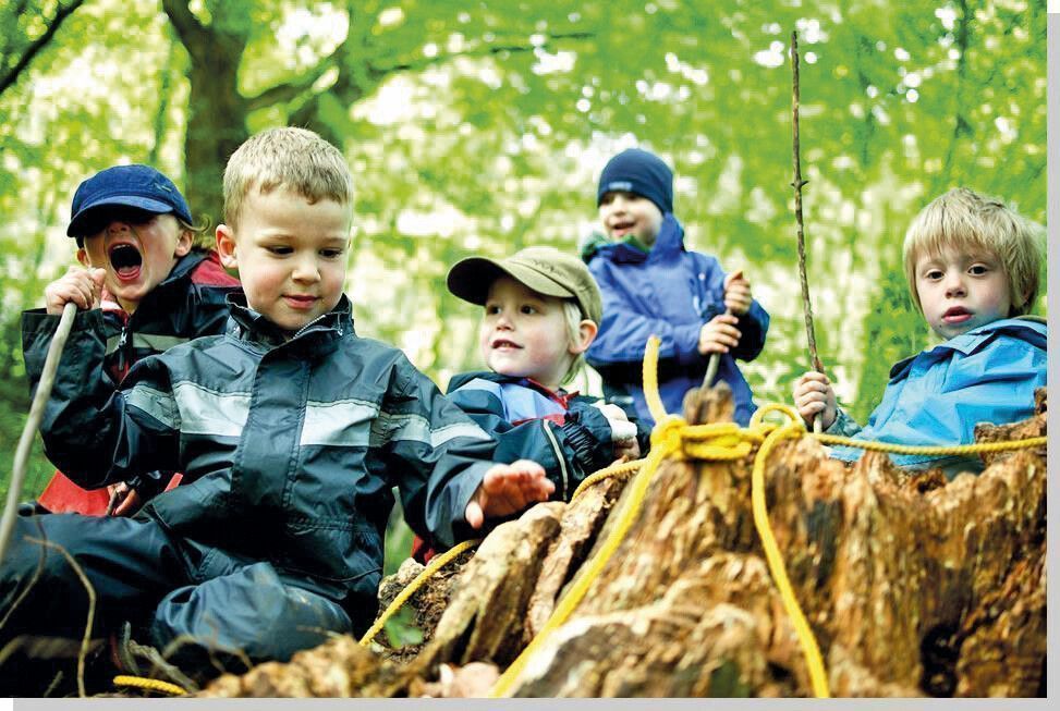 Schnuppern in der Waldspielgruppe Bregenz