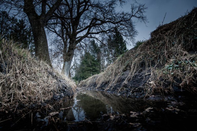An dieser Stelle im Lustenauer Ried wurde das Mordopfer abgelegt. Der Grundstücksbesitzer fand die Leiche. VN/Sohm.