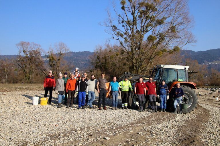 Die engagierten freiwilligen Helfer waren beim Hörbranzer Ufer im Einsatz. chf/3