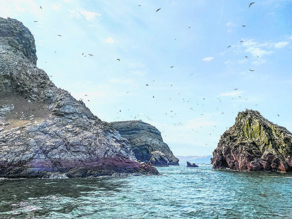 Paracas und die Isla Ballestas