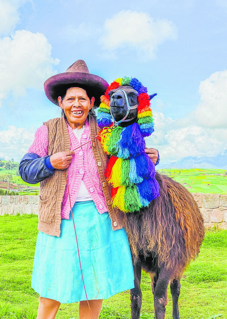 Ist das nun ein Lama oder doch ein Alpaca?