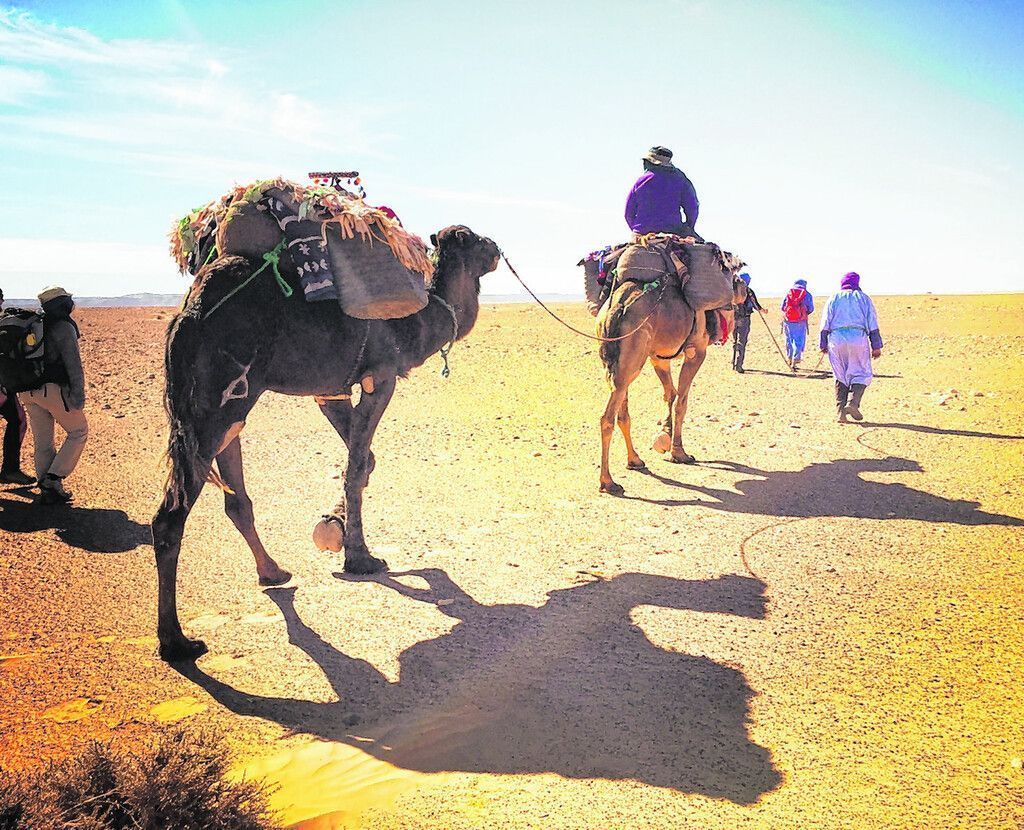 Wanderungen durch die Wüste