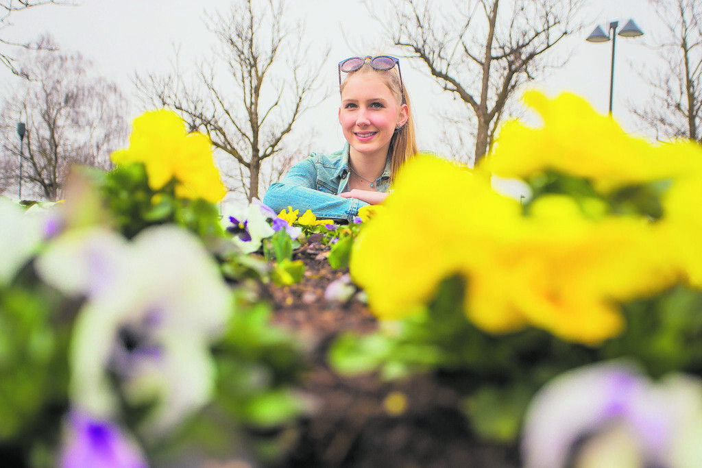 Frühling zeigt sich von der schönsten Seite