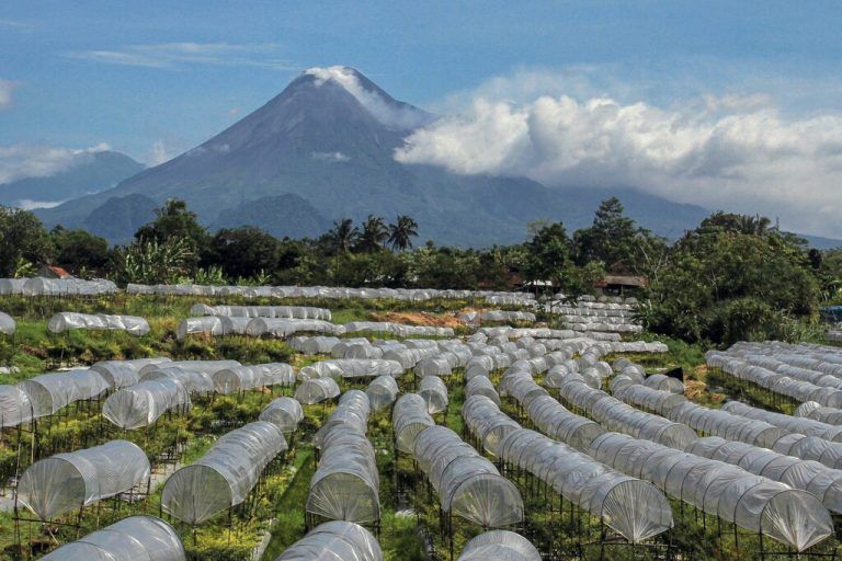 Rauch steigt aus dem Mount Merapi auf. Indonesiens aktivster Vulkan befindet sich auf der Insel Java. AFP
