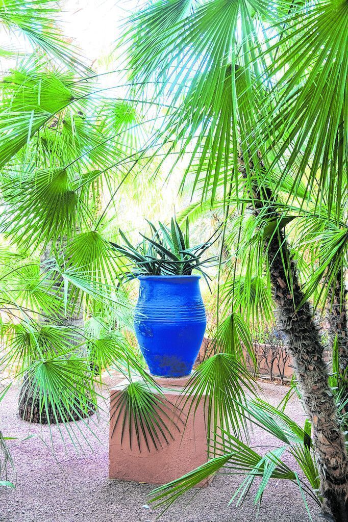 Jardin Majorelle: Blau statt Orange