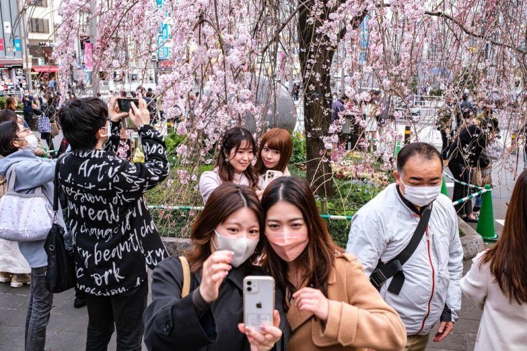 Vor Kirschblüten knipsen Passanten im Ueno Park in der japanischen Hauptstadt Tokio ein Selfie. AFP