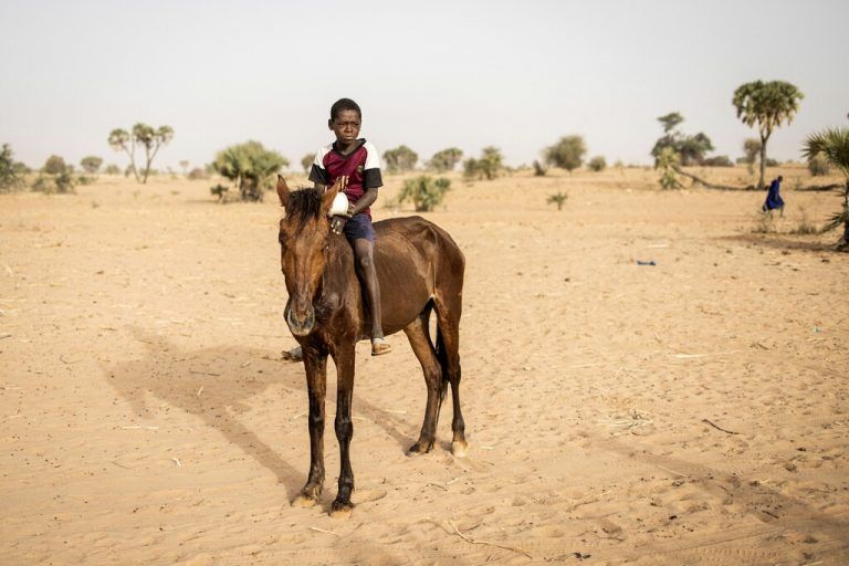 Wasserknappheit: Ein junge Reiter steht in einem ausgetrockneten Flussbett außerhalb von Madina Torobe, Senegal.  AFP
