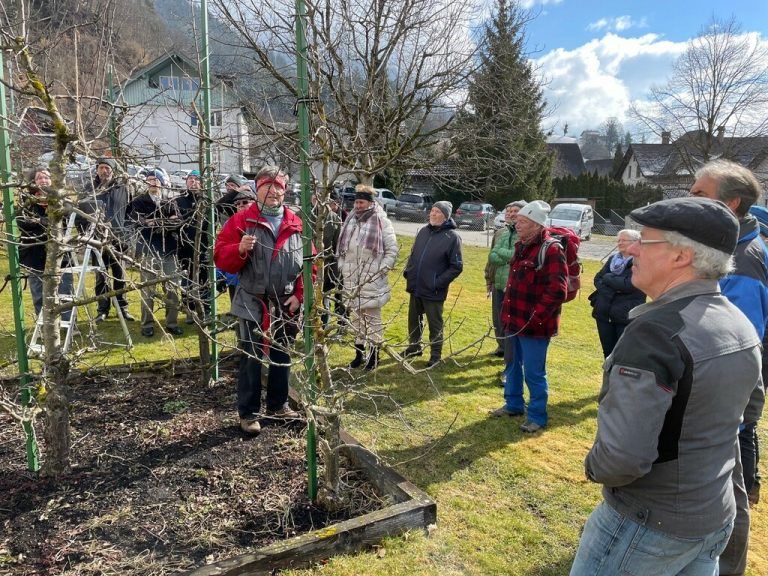 Winterschnittkurs des OGV Nüziders.OGV nüziders
