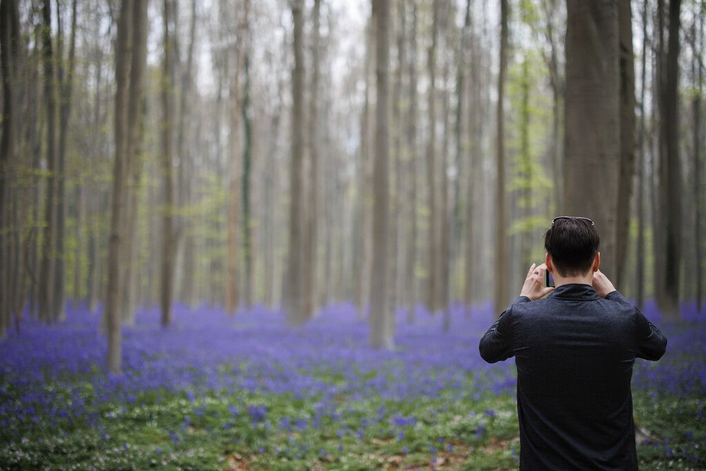 Bilder des Tages