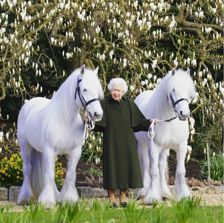 Die Queen posiert auf dem Foto mit ihren Ponys „Bybeck Katie“ und „Bybeck Nightingale“. RTS
