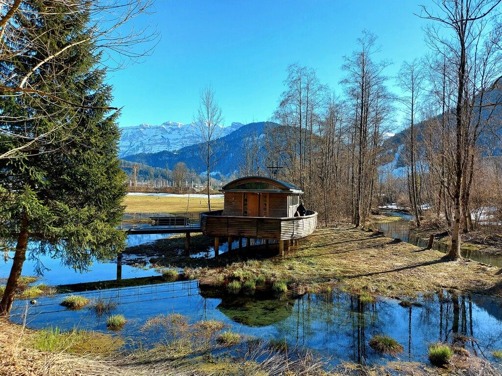 Ihr Ländle-Foto in der VN-Heimat