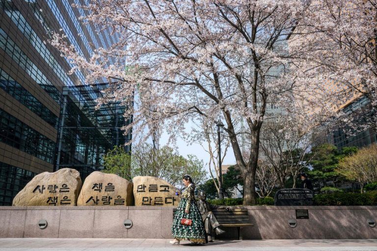 Eine Frau in traditioneller koreanischer Tracht unter einem blühenden Kirschbaum in Seoul. AFP
