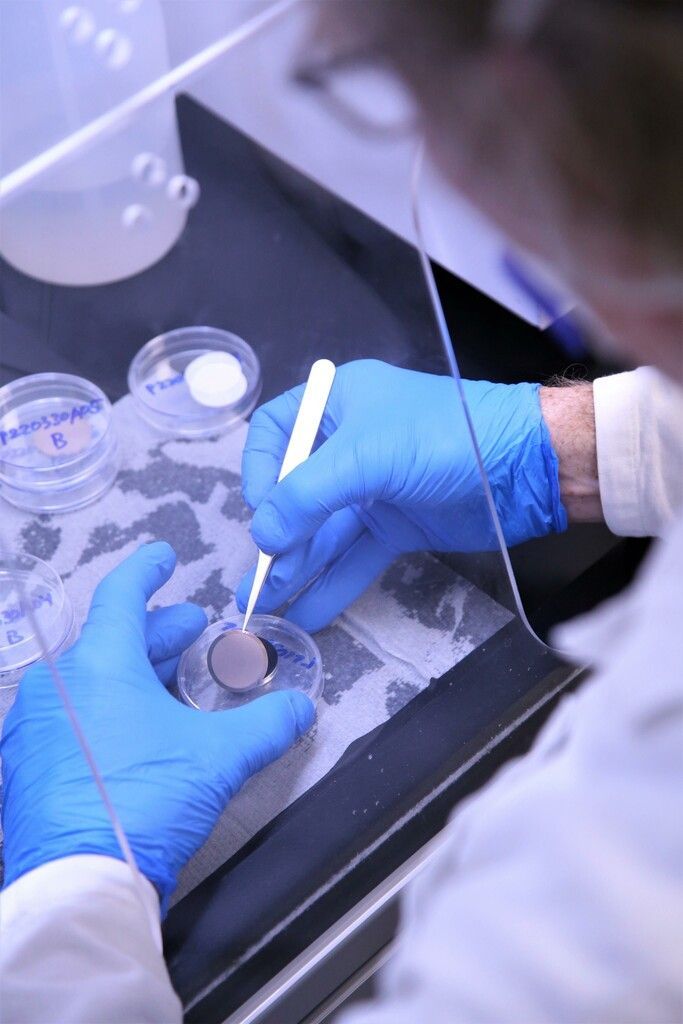 Der etwas andere „Detektiv“