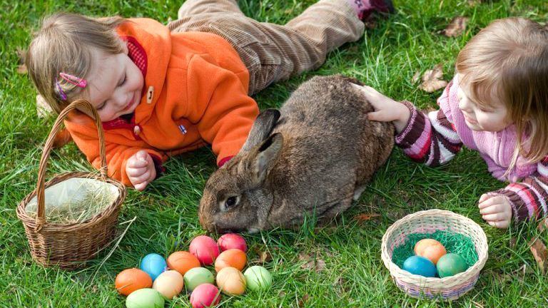 Warum der Osterhase bunte Eier bringt