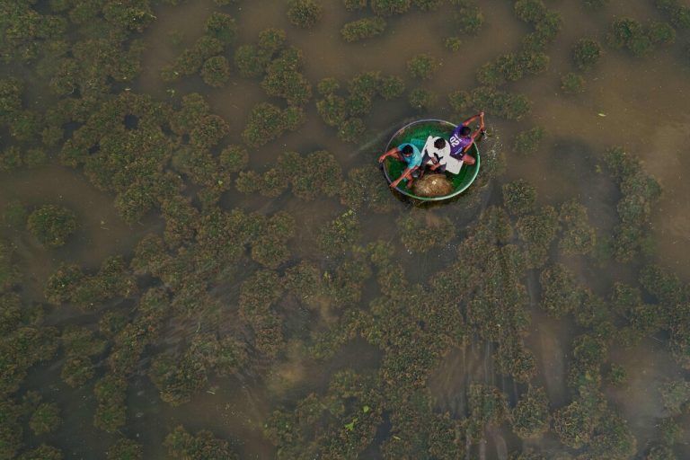 In einem kleinen, kreisrunden Boot werfen Fischer außerhalb der indischen Metropole Bangalore ihr Netz aus. AFP