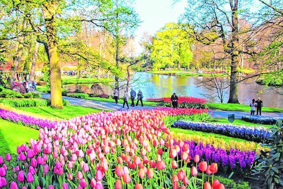 Bunte Blumenpracht im Keukenhof