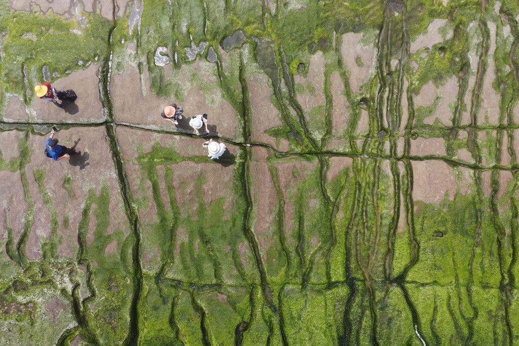 Bilder des Tages