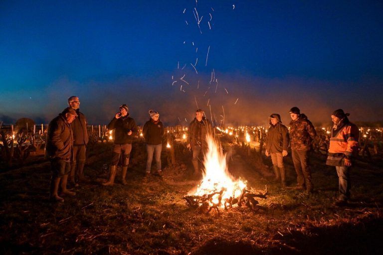 Weinbauern entzünden im Vouvray-Weinbaugebiet bei Vernou-sour-Benne in Frankreich Feuer, um die Pflanzen vor dem Frost zu schützen. AFP