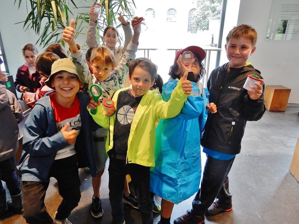 Dornbirner Volksschüler auf den Spuren der Biene