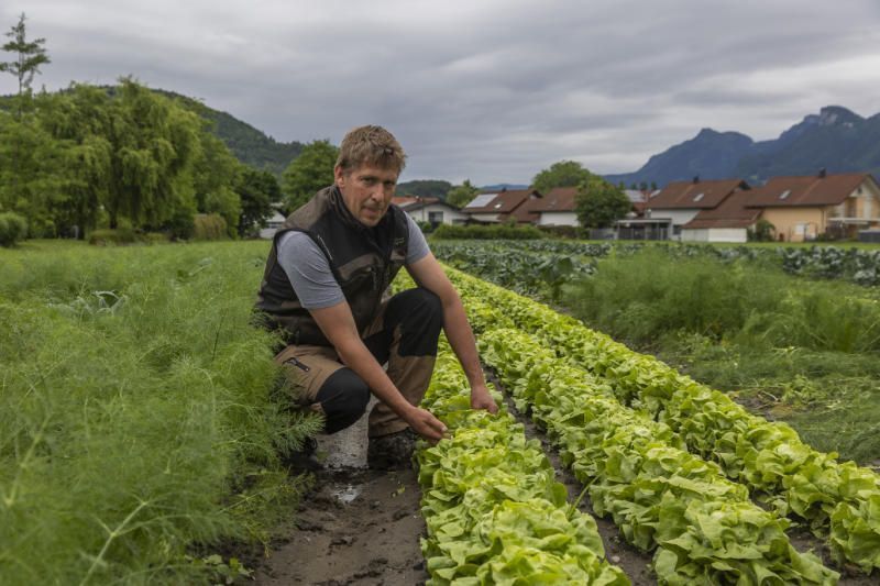 Unwetter: So viel Schaden entstand durch den Hagelschlag