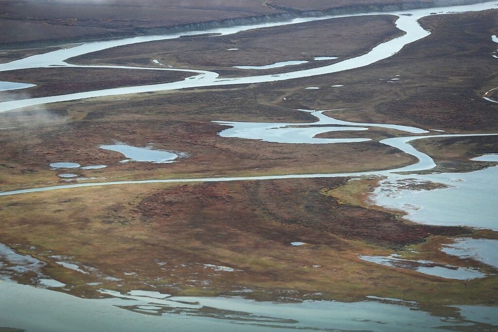 Erderwärmung bedroht sibirische Tundra