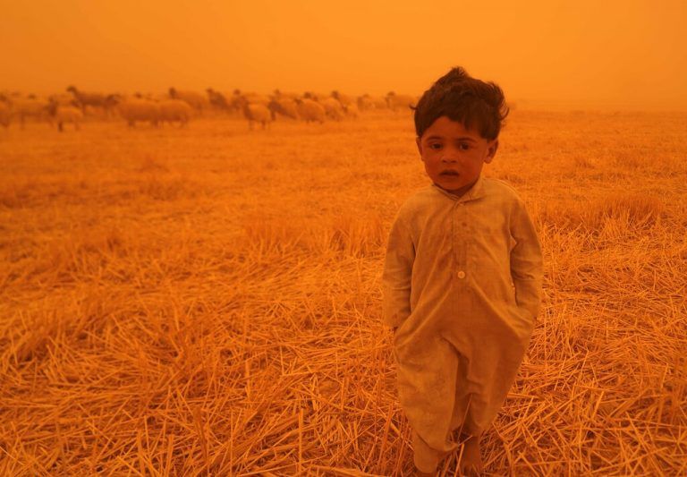 Erneut hat ein Sandsturm das öffentliche Leben im Irak am Montag weitgehend lahmgelegt. Reuters