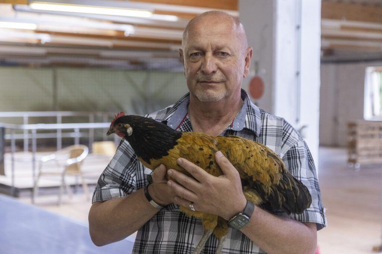 Es ist die Liebe und Begeisterung für Tiere, die den Gaißauer motivieren. Man unterschätzt sie oft seiner Meinung nach.