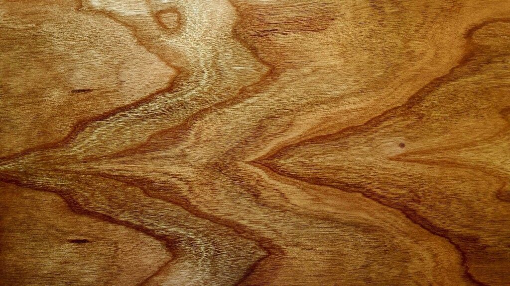 Bio-Holzkleber aus Zucker und Zitronensäure