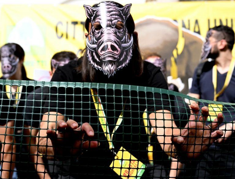Hunderte Bauern aus ganz Italien haben sich in Rom zu einer Demonstration gegen eine „Invasion“ von Wildschweinen versammelt. AFP