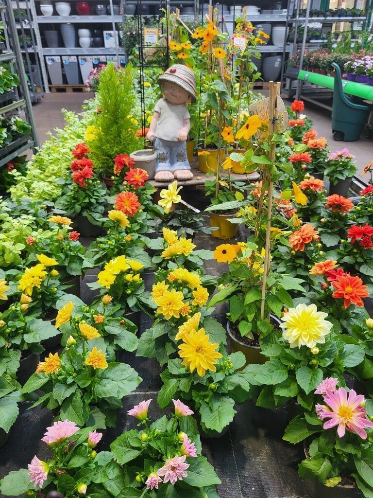 Bereit für den Sommer