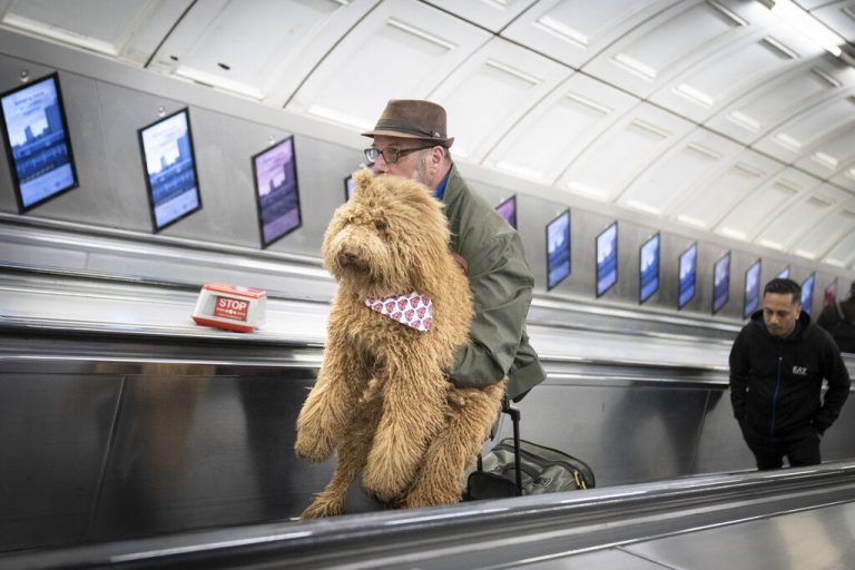 Inder U-Bahn-Station Liverpool Street in London trägt ein Passant seinen vierbeinigen Freund über die Rolltreppe. PA/AP