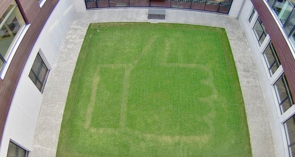 Fritsch-Kunst am BSBZ Hohenems