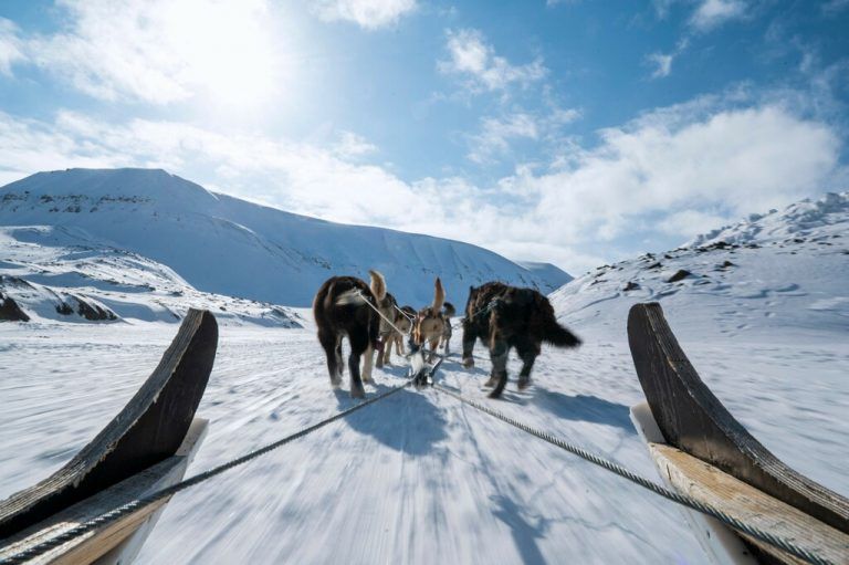 Mit dem Hundeschlitten kann man in Bolterdalen auf Spitzbergen eine abenteuerliche Tour machen. AFP