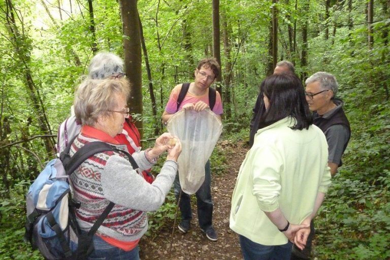 Schwebfliegen-Exkursion mit Stefan Pruner. Naturschutzbund