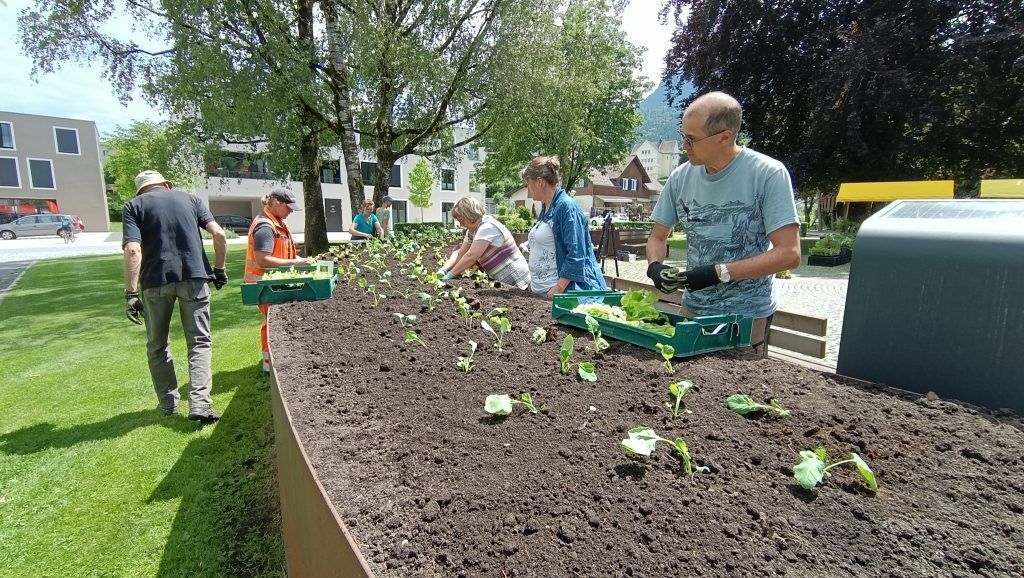Gelungen gegärtnert in die Umweltwoche
