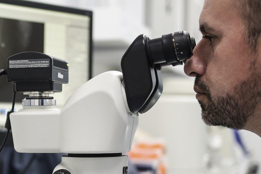 Neue Studie gegen Krebs: Positive Ergebnisse