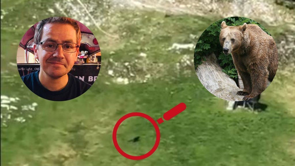 Ein Braunbär am Arlberg?