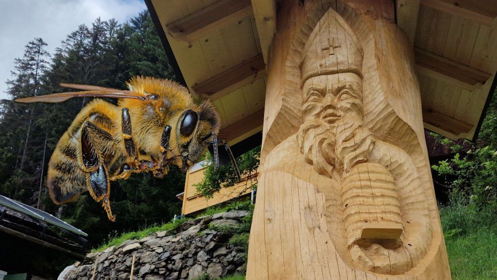 Wo die Bienen jetzt in einem Naturhaus leben