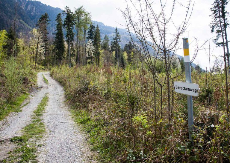 Im Rappenwald bei Tisis wurde die Flüchtende Hilda Monte erschossen.