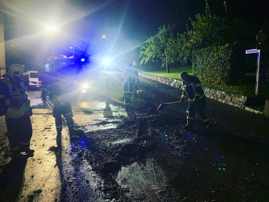 Entwurzelte Bäume und Wasserfluten
