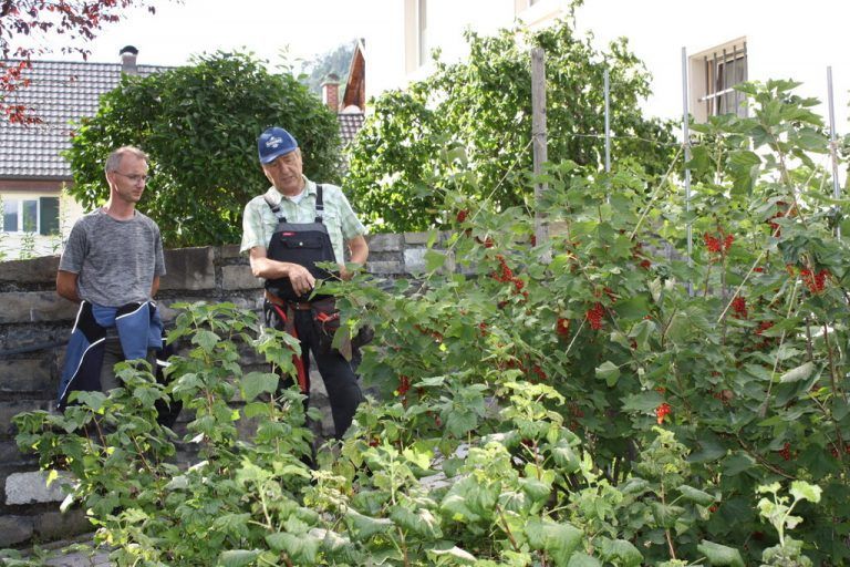 Am Samstag, 18. Juni findet ein Sommerschnittkurs in Nüziders statt.ogv nüziders
