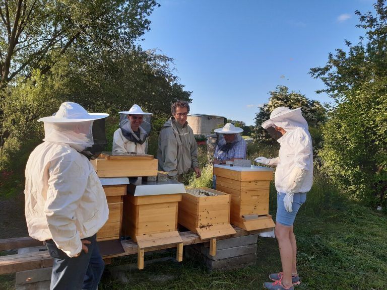Am Sonntag lädt der Bienenzuchtverein Feldkirch zur großen Jubiläumsfeier mit einem bunten Programm rund um die Biene.