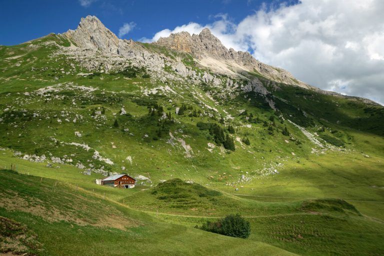 Berchtold