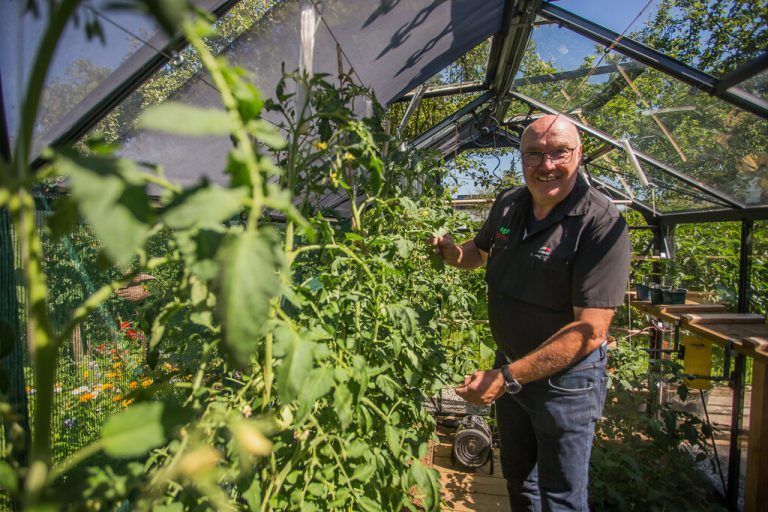 Das Gewächshaus der Stoppels ist im Sommer vor allem den Tomaten vorbehalten. VN/Steurer