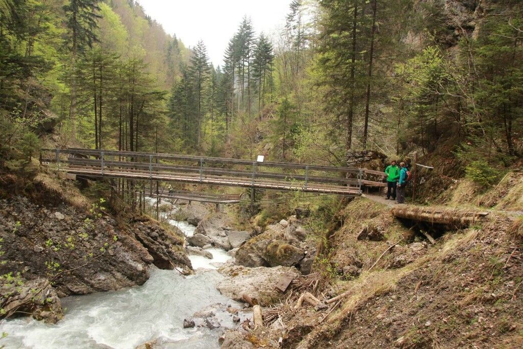 Warum denn in die Ferne schweifen…