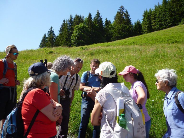 Die Vielfalt an Arten faszinierte die Teilnehmenden der Biotopexkursion.Naturschutzbund/Burtscher