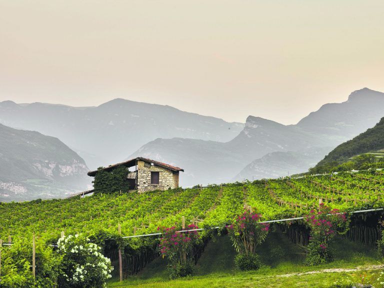 Wein-Trekking im Trentino