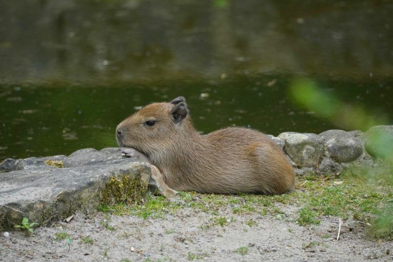 Kurze Ruhepause