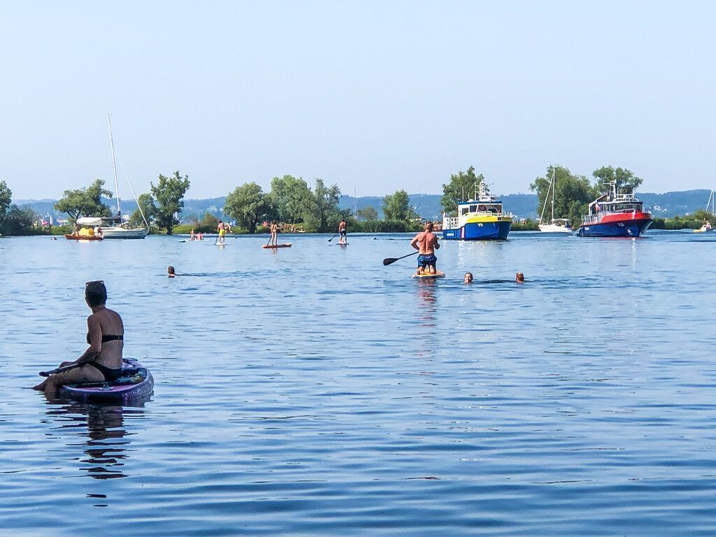 Tödlicher Unfall mit Stand-Up-Paddle in Hard. »A8