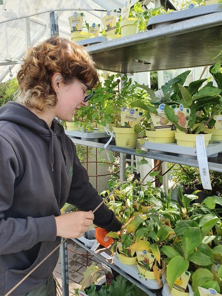Lernen in naturnaher Branche